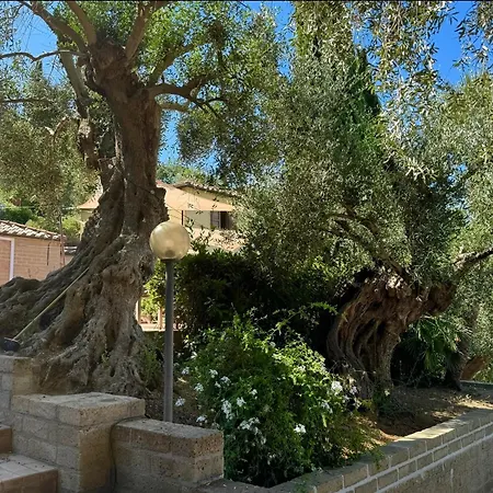 Madonna Del Poggio Cav -