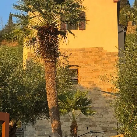 Madonna Del Poggio Cav - 3*
