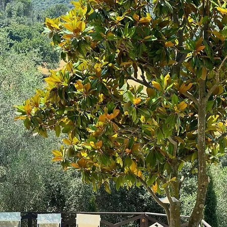 Madonna Del Poggio Cav Ξενοδοχείο με διαμερίσματα *